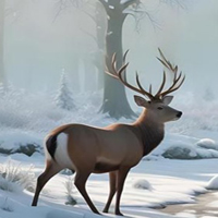Free online html5 escape games - 365 Snow Idyll Escape