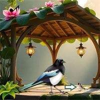 Songbird Forest Escape