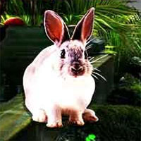 Free online html5 games - Mirchi rabbit rescue 2 game - WowEscape 