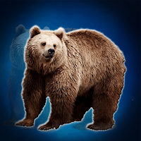 Free online html5 escape games - G2J Save The Grizzly Bear