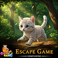 Free online html5 escape games - Escaping Cat Rescue Game