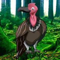 Free online html5 games - Games2rule Vulture Forest Escape game 