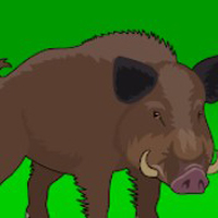 Free online html5 games - G2J Desert Warthog Escape game 