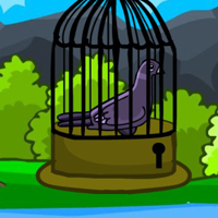 Free online html5 escape games - G2M Help the Grey Pigeon Escape