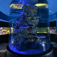 Free online html5 games - Father Son Aquarium Escape HTML5 game - WowEscape 