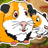 Free online html5 games - G2J Teddy Guinea Pig Family Rescue game 