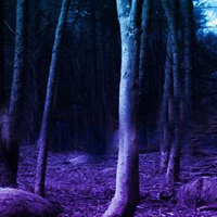 Free online html5 games - Dark Mysterious Jungle Escape game - WowEscape 