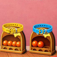 Free online html5 escape games - Find Playful Pup Bruno