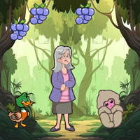 Free online html5 escape games - Memory Loss Grandma Reach House