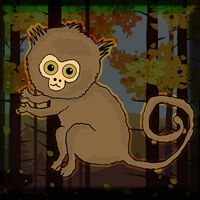 Free online html5 games - Games2Jolly Pygmy Marmoset Escape game - WowEscape 