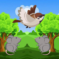 Free online html5 games - Wow Sparrow Meets Crow Buddies game 