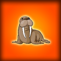 Free online html5 escape games - Rescue The Odobenus Rosmarus