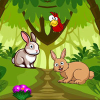 Free online html5 escape games - Save Caged Little Rabbit