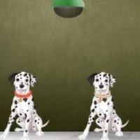 Free online html5 escape games - Setter Dog Escape 