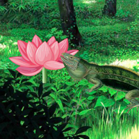 Free online html5 games - Lizard Forest Escape HTML5 game - WowEscape 