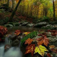 Free online html5 games - Leaf Veil Forest Escape HTML5 game 