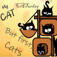 Free online html5 escape games - 8B Find Cat Woman Lyra