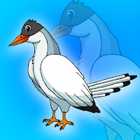 Free online html5 games - G2J Arctic Tern Rescue game - WowEscape 