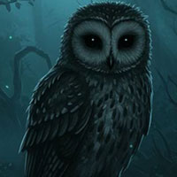 Free online html5 escape games - G4K Shadowy Owl Escape