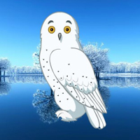 Free online html5 escape games - Winter Owl Forest Escape HTML5
