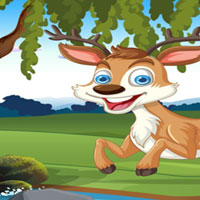 Free online html5 escape games - G2M Drenched Squirrel Rescue