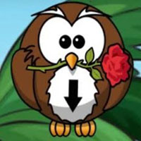 Free online html5 games - G2M Toucan Escape 1 game 