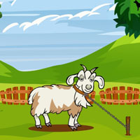 Free online html5 escape games - Free the Chained Goat