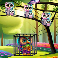 Free online html5 games - G2M Hues and Hoots Escape game - WowEscape 