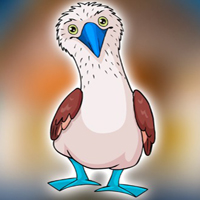 Free online html5 escape games - Rescue the Locked Booby Bird