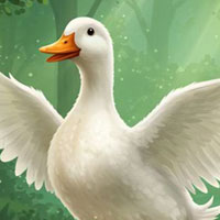 Free online html5 escape games - G4K Crystalbeak Bird Rescue