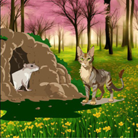 Free online html5 games - Wow Help The Stranded Rat game - WowEscape 