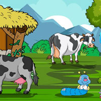 Rescue The Dove Family