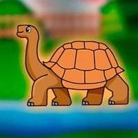 Free online html5 escape games - G2J Tortoise Escape from Cage