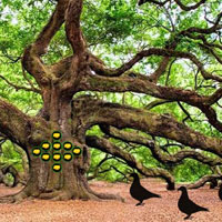 Free online html5 games - Banyan Forest Escape game - WowEscape 