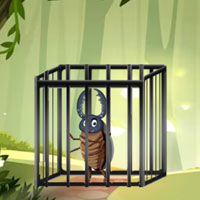 Free online html5 escape games - G2M Beetle Rescue Escape