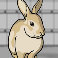Free online html5 games - G2J Release the Rabbit from Cage game - WowEscape 