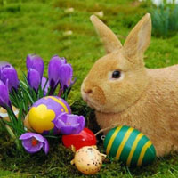 Free online html5 games - Easter Blue Egg Bunny Escape HTML5 game - WowEscape 