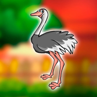 Free online html5 escape games - Struthio Camelus Massaicus Rescue