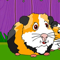 Free online html5 games - G2J Guinea Pig Family Escape game - WowEscape 