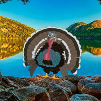Free online html5 games - Save The Wild Turkey HTML5 game - WowEscape 