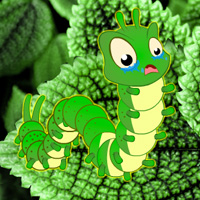 Free online html5 games - Wonder Worm Leaf Forest Escape game - WowEscape 
