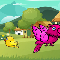 Free online html5 escape games - G2M Freedom Fin