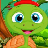 Free online html5 games - Palani Comely Turtle Escape Game game - WowEscape 