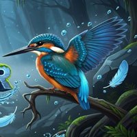 Free online html5 escape games - Blue Kingfisher Escape Game