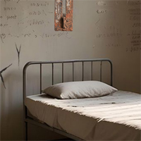 Free online html5 games - 365 Prison Cell Escape game 