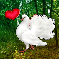 Free online html5 games - Wow Love Pigeon Forest Escape game - WowEscape 