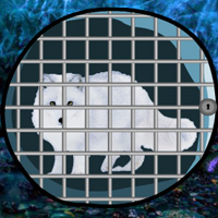 Free online html5 games - WowEscape Save the Arctic Fox game - WowEscape 