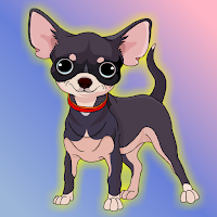 Free online html5 escape games - FG Escape The Chihuahua Dog