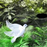 Free online html5 games - Wow Wonder Couple Dove Escape game 