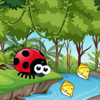 Wow Ladybug Crosses The River